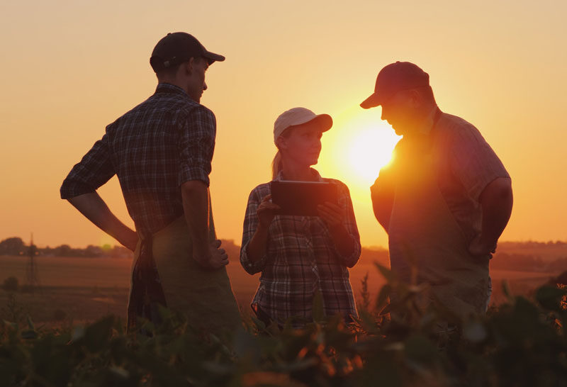 Family-Owned Businesses and Farms