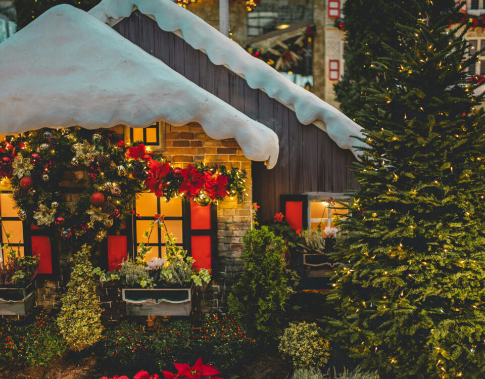 Holiday Travel Tips for Seniors