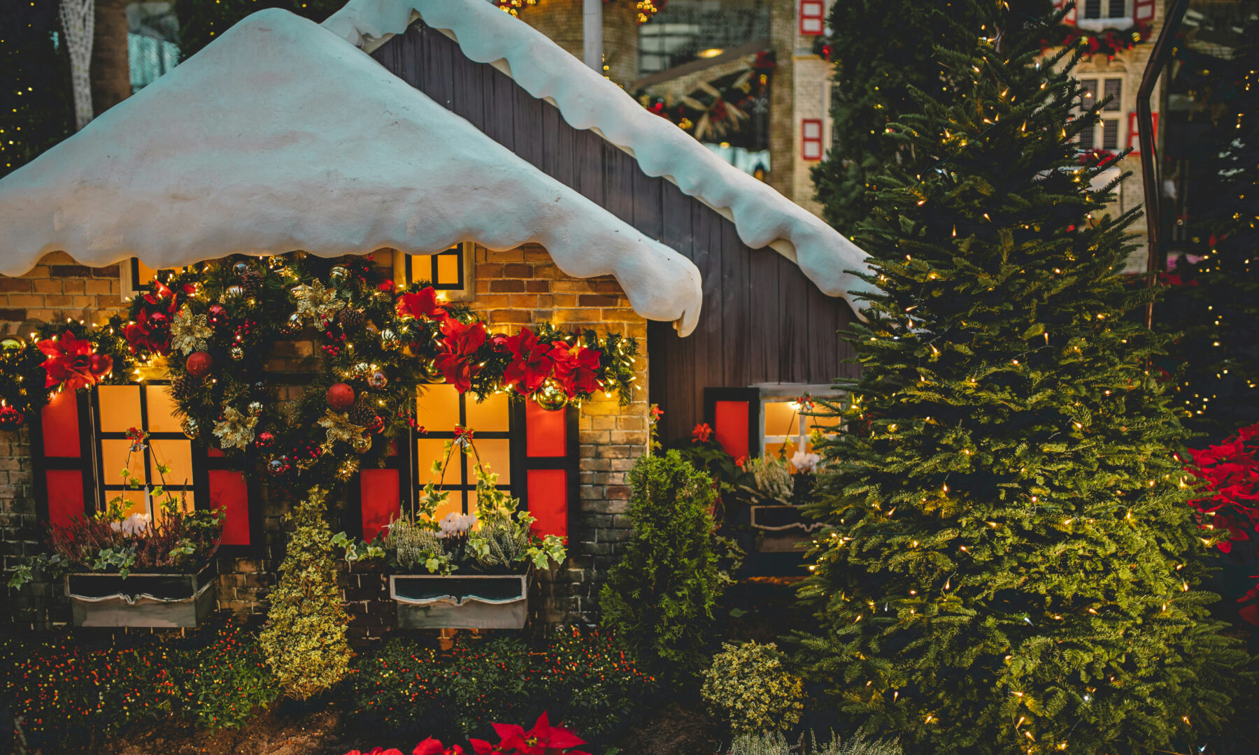 biddinger-schrot-rolando-pc