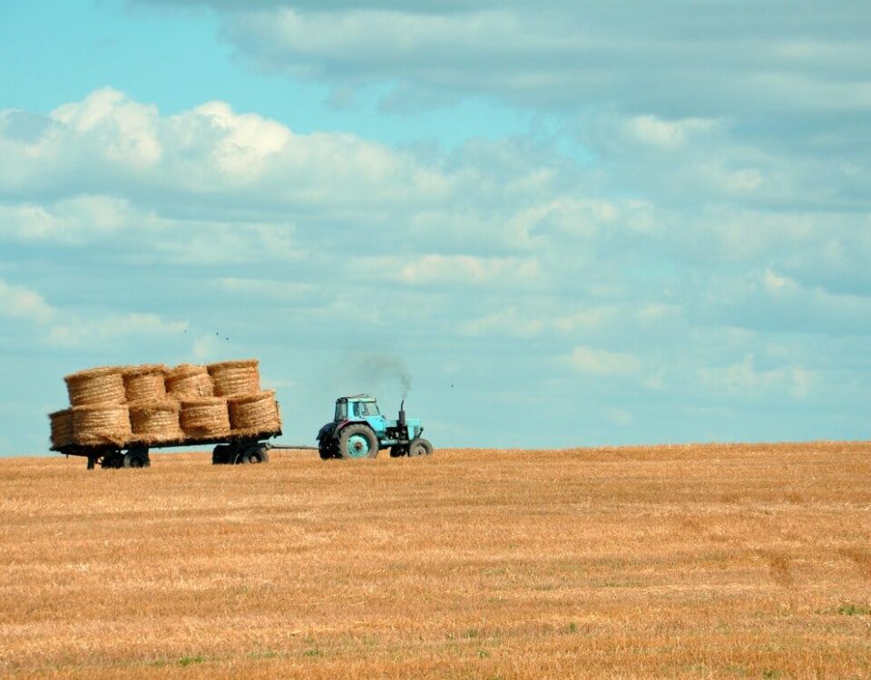 entrepreneur farmer