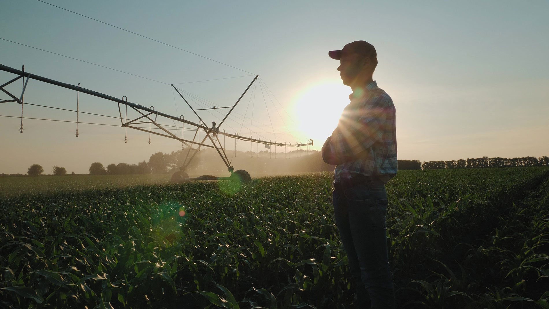 Family-Owned Businesses and Farms